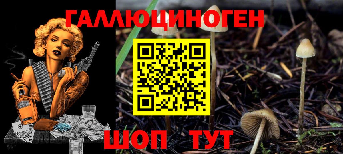 Псилоцибиновые грибы Magic Shrooms Дзержинск